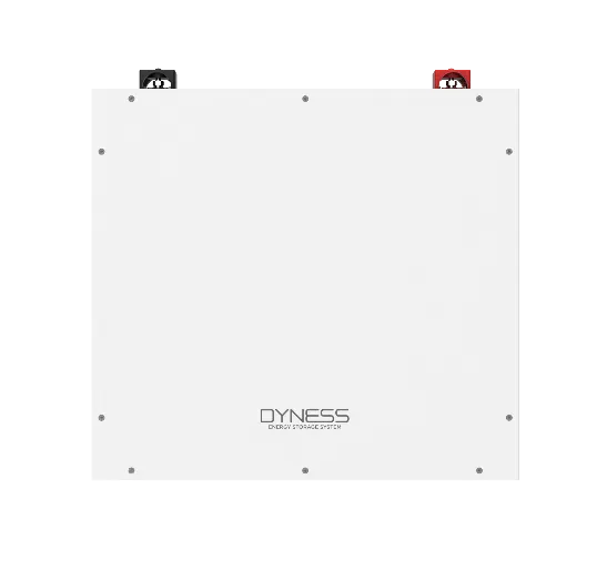 Batería Dyness DL5.0C 51.2V 100Ah 5.12kWh